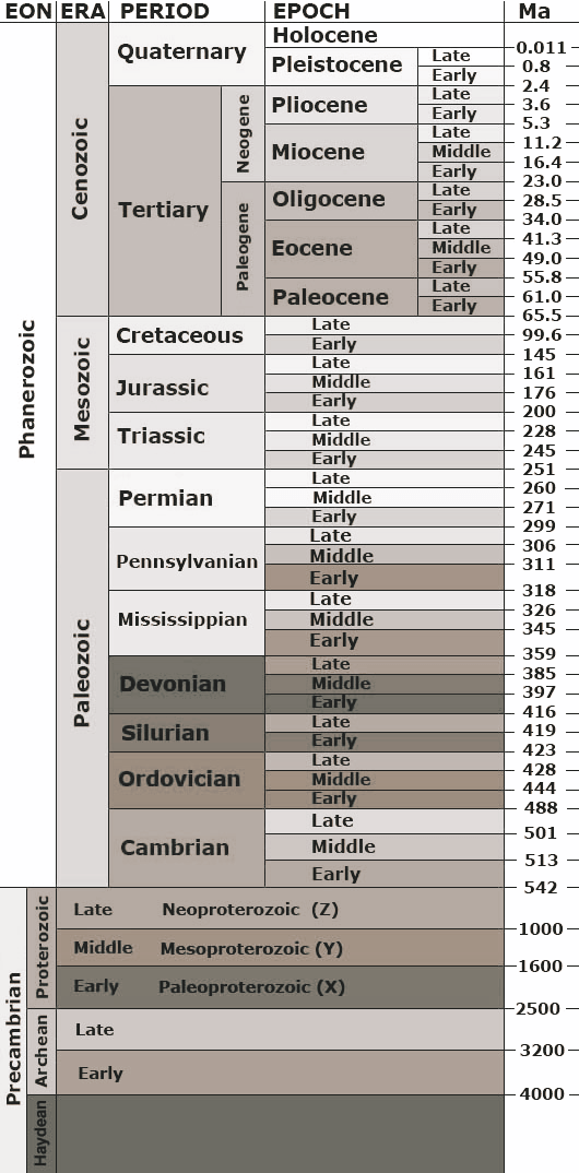 Geologic time scale - used to establish the history of evolution